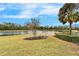 Landscaped yard with a pond and lush vegetation at 1950 Sterling Glen Ct, Sun City Center, FL 33573