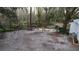 Backyard with firepit and wooded area at 26451 Glenhaven Rd, Wesley Chapel, FL 33544