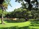 Large grassy area with mature trees at 3001 58Th S Ave # 701, St Petersburg, FL 33712