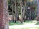 Lush landscaping with mature trees at 3001 58Th S Ave # 701, St Petersburg, FL 33712