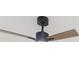 Modern ceiling fan with wood and gray blades at 3630 E North Bay St, Tampa, FL 33610