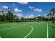 Outdoor basketball court with two hoops at 3838 Muirfield Ct, Palm Harbor, FL 34685