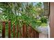 Wooden stairs leading to the backyard, surrounded by lush foliage at 832 13Th N Ave, St Petersburg, FL 33701