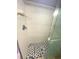 Clean shower with hexagon tile flooring at 10537 Sky Flower Ct, Land O Lakes, FL 34638