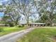 Single story home with a long driveway surrounded by lush greenery and large trees at 1080 Buena Vista Ave, Brooksville, FL 34601