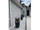 Landscaped walkway with three potted plants at 11719 Mango Groves Blvd, Seffner, FL 33584