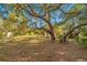 Large backyard with a mature oak tree and a small shed at 12240 Eakin St, Weeki Wachee, FL 34614