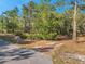 Vacant lot featuring a mailbox, paved road, and lush trees at 12240 Eakin St, Weeki Wachee, FL 34614