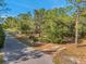 Wooded vacant lot with a mailbox and paved road access at 12240 Eakin St, Weeki Wachee, FL 34614