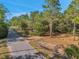 Vacant lot with a wooded backdrop and paved road access at 12240 Eakin St, Weeki Wachee, FL 34614