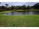 Peaceful pond view from backyard at 1649 Emerald Dunes Dr, Sun City Center, FL 33573