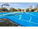 Outdoor basketball court with blue painted surface and multiple hoops at 2102 Golf Manor Blvd, Valrico, FL 33596