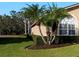 House exterior showcasing a palm tree and well-maintained hedges at 2102 Golf Manor Blvd, Valrico, FL 33596