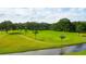 Aerial view of a green grassy area with palm trees and a water feature at 5149 Jo St, Zephyrhills, FL 33542