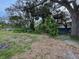 Overgrown backyard with mature trees and a fence at 5805 34Th S Ave, Tampa, FL 33619