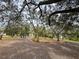 Gravel parking area surrounded by mature oak trees at 5805 34Th S Ave, Tampa, FL 33619