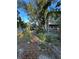 Large backyard with gazebo and mature trees at 8006 N Rome Ave, Tampa, FL 33604