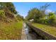 View of a canal with lush green vegetation at 808 W Hollywood St, Tampa, FL 33604