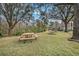 Community picnic area with tables under shade trees at 10010 Bucklin St, Tampa, FL 33625