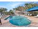 Community pool with lounge chairs and covered seating at 10010 Bucklin St, Tampa, FL 33625