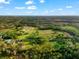 Aerial view of a large property with lush greenery, outlining boundaries and revealing the homesite at 10601 Paul S Buchman, Plant City, FL 33565