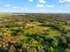 Aerial view of vast parcel surrounded by luscious trees and a pond at 10601 Paul S Buchman, Plant City, FL 33565