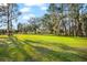 Lush backyard with mature trees creates a peaceful setting, offering ample space and shade at 10601 Paul S Buchman, Plant City, FL 33565