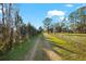 Long driveway leading to a home through lush greenery and an open field at 10601 Paul S Buchman, Plant City, FL 33565