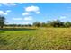 Wide angle picture of a lush green field surrounded by trees and foliage, with a clear blue sky at 10601 Paul S Buchman, Plant City, FL 33565