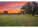 Expansive land with mature trees under a colorful sunset sky at 10601 Paul S Buchman, Plant City, FL 33565