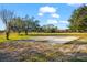 Expansive land with scattered trees, a clear sky, and a concrete slab ready for development at 10601 Paul S Buchman, Plant City, FL 33565