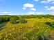 High up aerial view of grassy land with scattered trees under a clear blue sky and white clouds at 10601 Paul S Buchman, Plant City, FL 33565