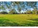 Lush green field with scattered trees and a clear blue sky, offering a serene setting at 10601 Paul S Buchman, Plant City, FL 33565