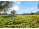 Expansive green field under a sunny blue sky, dotted with trees and foliage at 10601 Paul S Buchman, Plant City, FL 33565