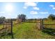 Expansive green field enclosed by a wooden fence and gate under a bright blue sky at 10601 Paul S Buchman, Plant City, FL 33565