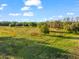 Beautiful aerial image of grassy land with scattered trees under a clear blue sky with puffy white clouds at 10601 Paul S Buchman, Plant City, FL 33565