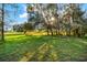 Sun shining through trees lining the field, creating a tranquil scene with lush greenery at 10601 Paul S Buchman, Plant City, FL 33565