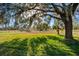 Lush green field featuring mature tree, and a glimpse of the blue sky in the background at 10601 Paul S Buchman, Plant City, FL 33565