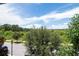 View of a tree-lined street and lush green landscape beyond at 11125 Winthrop Lake Dr, Riverview, FL 33578