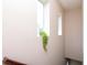 Light-filled stairwell with two windows and a hanging plant at 11125 Winthrop Lake Dr, Riverview, FL 33578