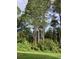 Lush green backyard with mature pine trees at 12127 Luftburrow Ln, Hudson, FL 34669