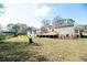 Spacious backyard with green grass and a small storage shed at 1236 Live Oak Ln, Lutz, FL 33558