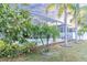 Pool area with lush landscaping and palm trees at 17436 Lawn Orchid Loop, Land O Lakes, FL 34638