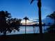 Stunning waterfront view at sunset, showcasing serene water and lush greenery at 1847 Shore S Dr # 316, South Pasadena, FL 33707