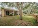 Spacious backyard with large tree and screened patio at 19144 Meadow Pine Dr, Tampa, FL 33647