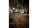 Landscaped backyard with string lights at night at 19144 Meadow Pine Dr, Tampa, FL 33647