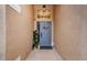 Inviting entryway with a blue door and potted plants at 19144 Meadow Pine Dr, Tampa, FL 33647