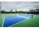 Two pickleball courts with green surface at 19144 Meadow Pine Dr, Tampa, FL 33647