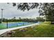 Enjoy community pickleball courts with ample space and surrounding green areas at 19144 Meadow Pine Dr, Tampa, FL 33647