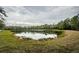 Serene pond with lush greenery and reflection of sky at 19144 Meadow Pine Dr, Tampa, FL 33647